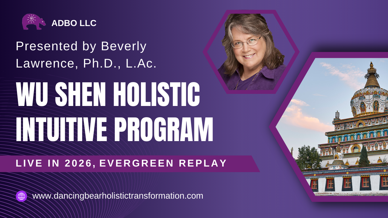 Dancing Bear Holistic Transformation program cover